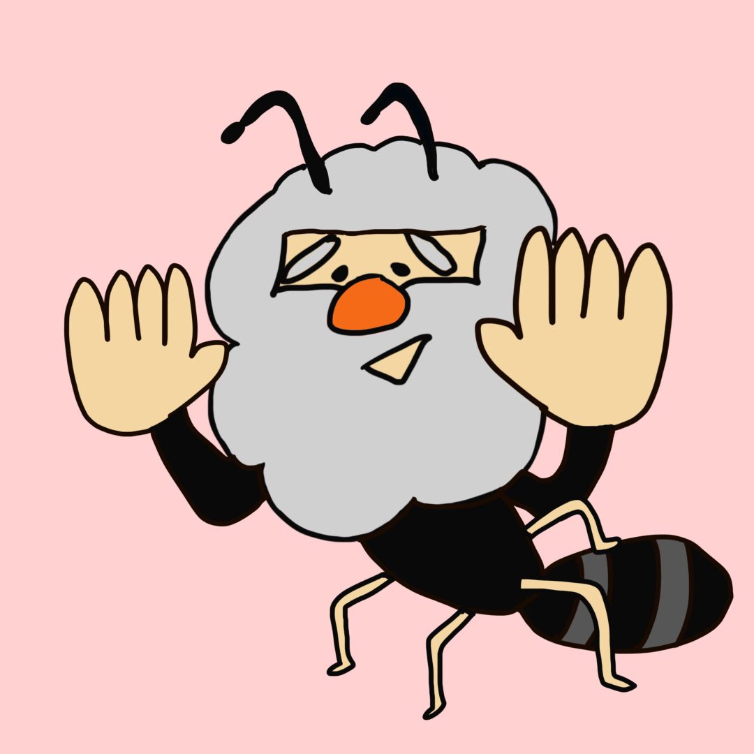 charmantcollegeNFT-380